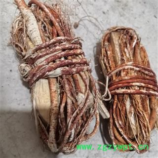 新辉药业五指毛桃 五指榕 五指牛奶 五指香 土黄芪 三爪龙 五爪龙、五爪桃、图3