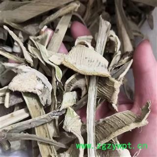 新辉药业剑麻 升麻 绿剑麻  龙舌兰图2