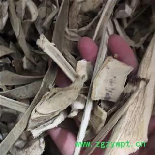 新辉药业剑麻 升麻 绿剑麻  龙舌兰图3