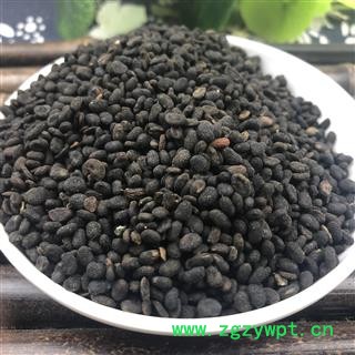 补骨脂 破故纸 破故脂 婆固脂 黑故纸 凯捷中药 统货 产地 云南省玉溪市红塔区图3