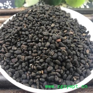 补骨脂 破故纸 破故脂 婆固脂 黑故纸 凯捷中药 统货 产地 云南省玉溪市红塔区图2