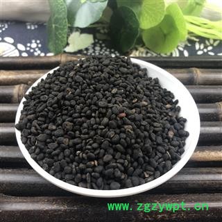 补骨脂 破故纸 破故脂 婆固脂 黑故纸 凯捷中药 统货 产地 云南省玉溪市红塔区图4