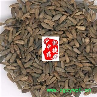 凯捷中药 牛蒡子 大力子 牛子 统货 产地 吉林省四平市铁东区图3