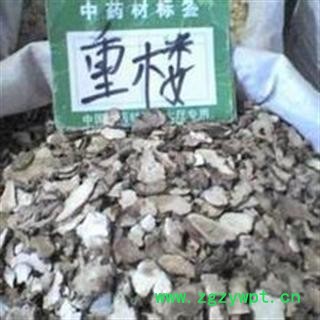 新辉药业重楼 小片 产地 云南各种规格齐全图2