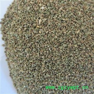 芹菜籽 芹菜子 统货 产地 江苏省 凯捷中药图3