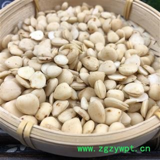 杏仁杏仁 去皮杏仁选货 产地 山西省图2