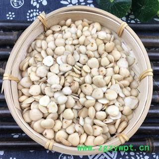 杏仁杏仁 去皮杏仁选货 产地 山西省图3