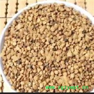 白丑 牵牛子白丑统货 产地 安徽省图2