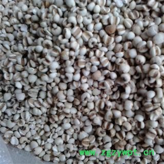 薏苡仁 薏苡仁95统货 薏米仁 本商品不参与全店包邮活动 如付款成功请补运费 产地 贵州省安顺市平坝县图3