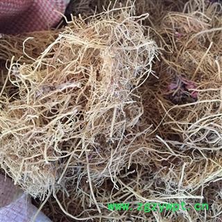 新辉药业中药材细辛 辽细辛 水洗净根选货图2