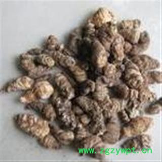 新辉药业重楼 统 产地 云南图2