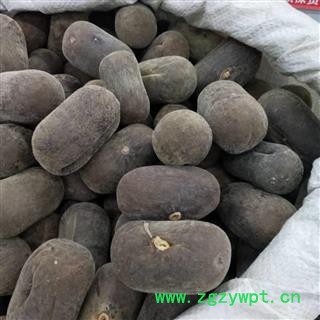 化橘红 大个 产地 广东省图2