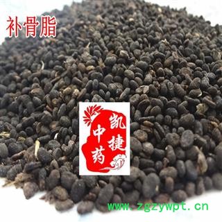 补骨脂 故脂 破故纸 破故脂 婆固脂 凯捷中药 黑故纸产地 云南省昭通市巧家县图2