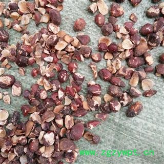 大风子 大风子仁 去壳大风子 产地 广西壮族自治区图2