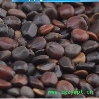 枳具子,枳椇子,拐枣子 药用保含量100%实物拍摄图2