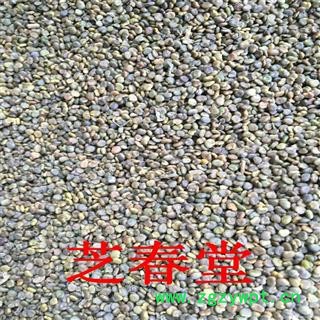 批发中药材沙苑子 植物原药材产地陕西散装新货无杂质沙苑子品质图4