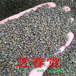 批发中药材沙苑子 植物原药材产地陕西散装新货无杂质沙苑子品质图2