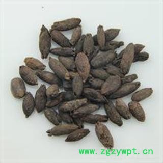 母丁香,鸡舌香,雌丁香 中药材药用食用均可保含量图2