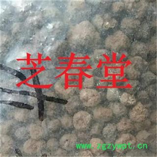 芝春堂 各种冷背药材批发长果圆果纯子【木天蓼子】木天蓼 保证质量图3