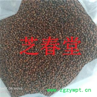 芝春堂 中药材 品质保证 芜菁籽 芜菁子 芜青子图3