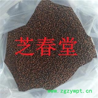 芝春堂 中药材 品质保证 芜菁籽 芜菁子 芜青子图2