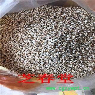 芝春堂 厂家批发 小薏米 药食两用 薏苡仁五谷杂粮 薏仁米 薏苡仁图4