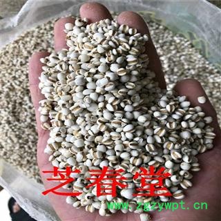 芝春堂 厂家批发 小薏米 药食两用 薏苡仁五谷杂粮 薏仁米 薏苡仁图2