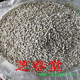 芝春堂 厂家批发 小薏米 药食两用 薏苡仁五谷杂粮 薏仁米 薏苡仁图3