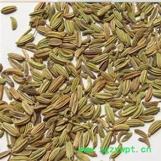 小茴香 选 批发中药材 香料 花茶 矿石等 产地 广东省图2