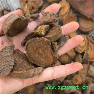 唐古特 大黄 小统 产地 四川省阿坝藏族羌族自治州金川县图3