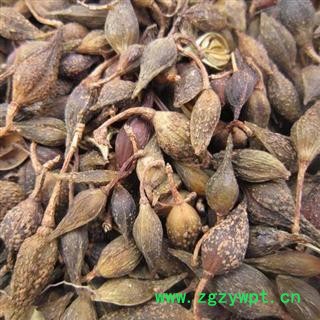 精品水煮连翘净货选货  质量好  价格低 规格齐全 产地直销 产地 山西省图2