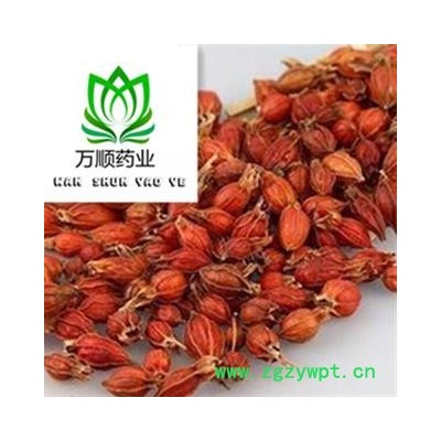 江西野生红栀子小选货 小栀子  质量好 价格低  产地 江西省