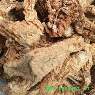 新辉药业中药材知母 毛知母图2