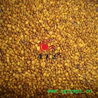 苦豆子 统货 产地 内蒙古自治区 凯捷中药图3