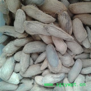 芒果核 统货 产地 广东省 凯捷中药图2