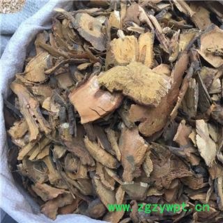 新辉药业中药材虎杖图2