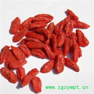枸杞子 宁夏枸杞250 产地 宁夏回族自治区图3