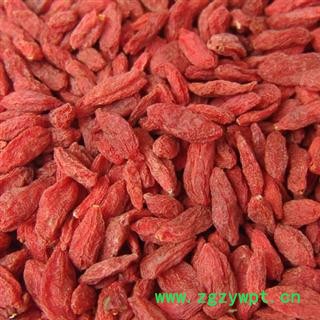 枸杞子 宁夏枸杞250 产地 宁夏回族自治区图2