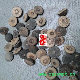 枳实 鹅眼枳实 产地 江西省图2