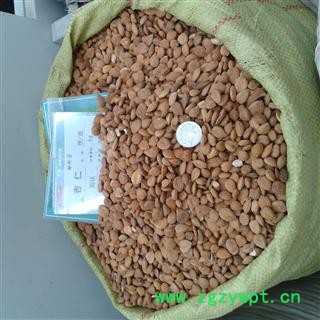 苦杏仁 选 产地 山西省 凯捷中药图4