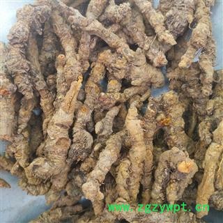 新辉药业精选黄连  石柱单支黄连图2