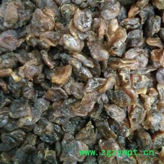 荔枝核 荔枝肉 产地 广东省图2