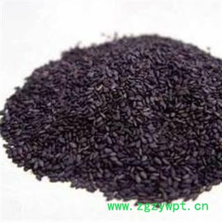 黑芝麻 黑巨胜 产地 河北省图2