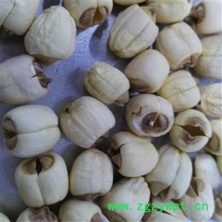 莲子 优质建莲 产地 福建省图2