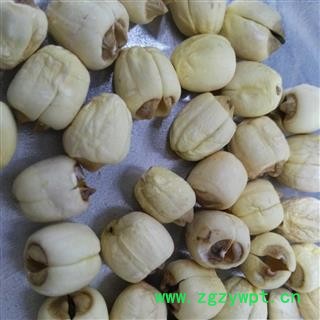 莲子 优质建莲 产地 福建省图3