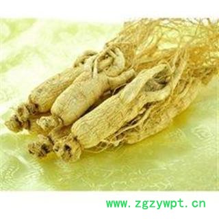 人参 生晒参35支 国药堂 专注品质 产地 吉林省图2