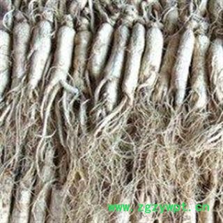 人参 生晒参35支 国药堂 专注品质 产地 吉林省图3