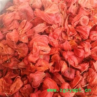 锦灯笼 统货 产地 四川省图3