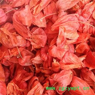 锦灯笼 统货 产地 四川省图2