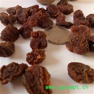 桂圆 低糖桂圆肉 产地 广西壮族自治区图2